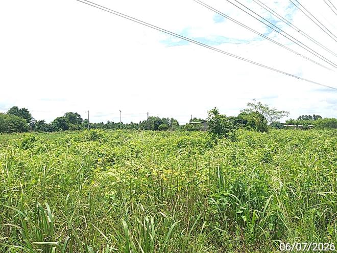 picture LAND 4632 Sq.w. Sri Maha Pho Prachinburi for 811,000 - 7/17