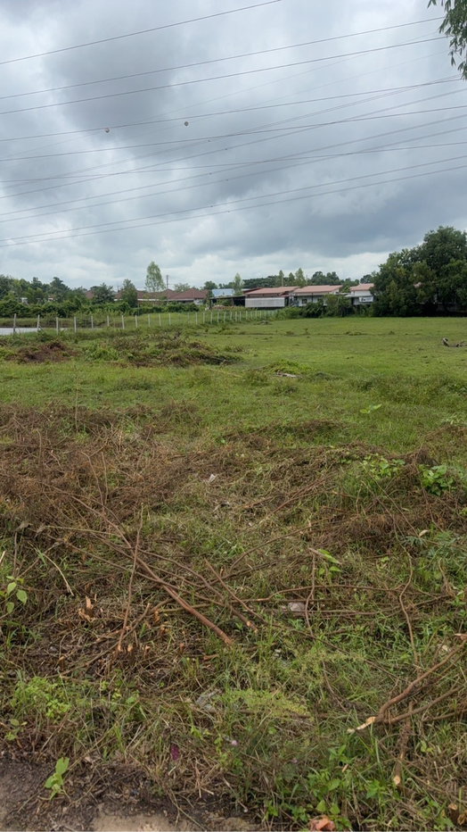 รูป ขายที่ดิน-ลดเกินครึ่งขายด่วนบ้านนิคม - รูปที่ 10/13