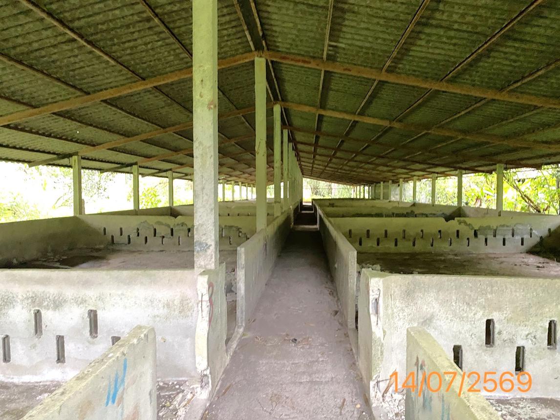 picture LAND 2165 Sq.w. Kapong Phangnga for 3.2M - 13/25