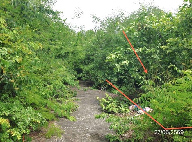 picture LAND 300 Sq.w. Mae Tha Lamphang for 560,000 - 9/25