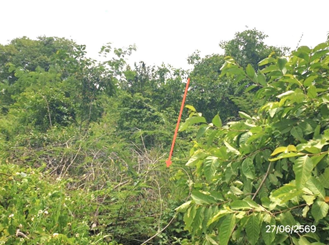 picture LAND 300 Sq.w. Mae Tha Lamphang for 560,000 - 16/25