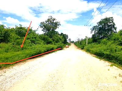 LAND 300 Sq.w. Mae Tha Lamphang for 560,000