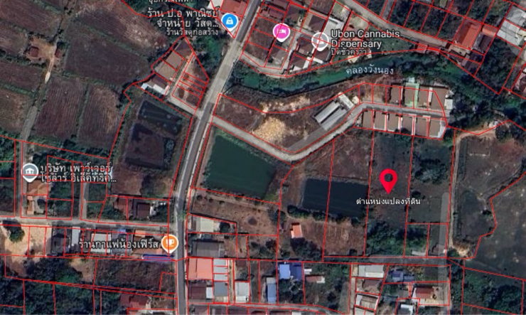 รูป ขายที่ดิน-ลดเกินครึ่งขายด่วนบ้านนิคม - รูปที่ 5/13