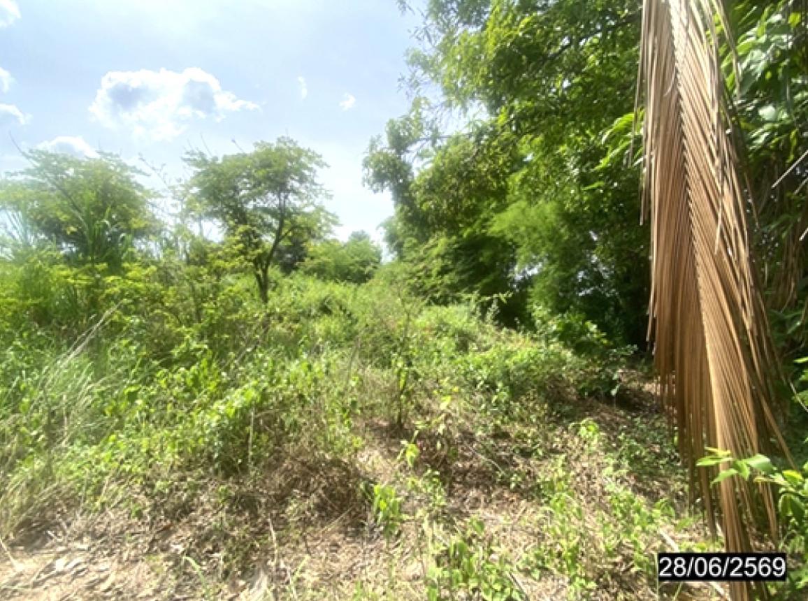 รูป ที่ดินว่างเปล่า 404 ตร.วา วังสามหมอ อุดรธานี 404,000 - รูปที่ 14/19