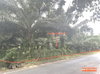 listing thumbnail image 19