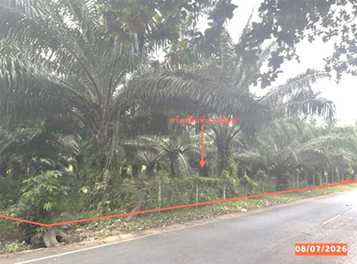 picture HOME 1074 Sq.w. Chawang Nakhon Sri Thammarat for 14.5M - 20/25