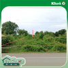 listing thumbnail image 18