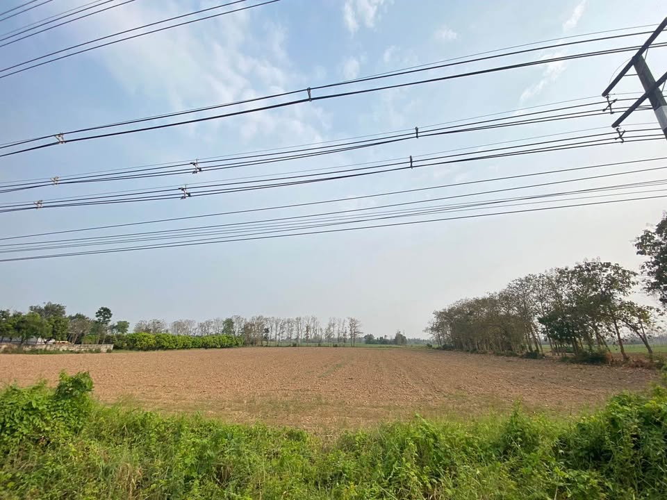 รูป ที่ดิน ผืนสวย ทำเลดี จังหวัดสุโขทัย - รูปที่ 4/5