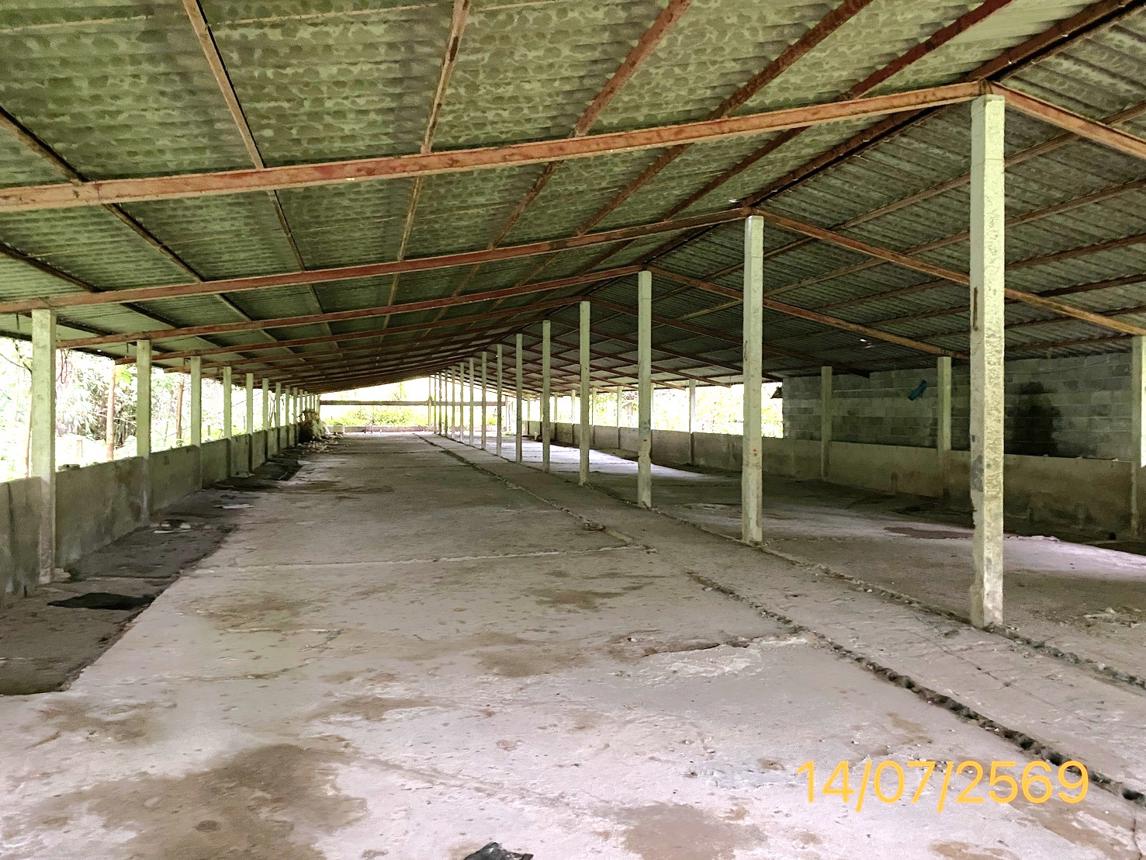 picture LAND 2165 Sq.w. Kapong Phangnga for 3.2M - 15/25