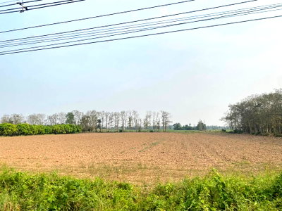 ที่ดิน สุโขทัย : ที่ดิน ผืนสวย ทำเลดี จังหวัดสุโขทัย 