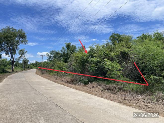 picture LAND 14890 Sq.w. Nong Phai Phetchabun for 9.8M - 10/31