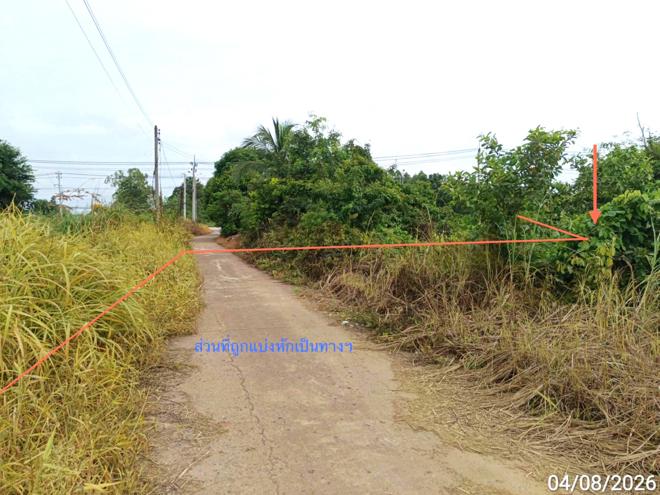 picture LAND 907 Sq.w. Bang Krathum Phitsanulok for 4.5M - 2/21
