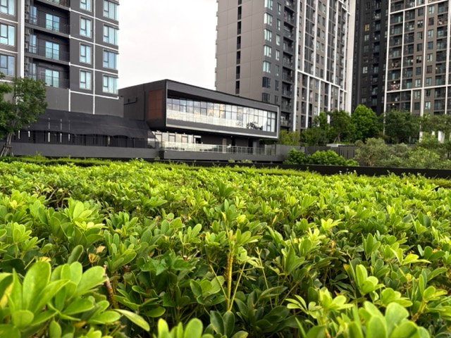 รูป ให้เช่า The Parkland เพชรเกษม 56 ตรงข้าม Seacon บางแค ติด MRT ภาษีเจริญ 20 นาทีถึงสามย่าน - รูปที่ 25/25