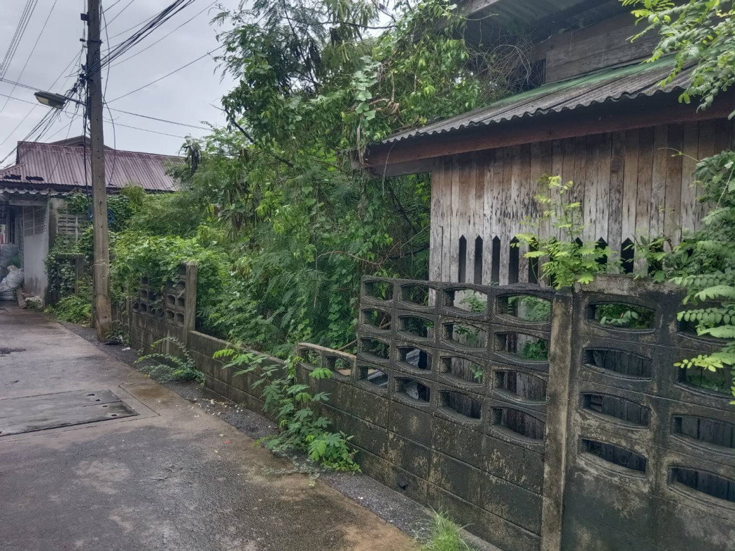 รูป ขายที่ดินรูปแปลงสวย 118 ตร.ว. ซอยศรีนิคม ต.มะขามหย่ง อ.เมือง จ.ชลบุรี เหมาะสร้างบ้าน - รูปที่ 10/12