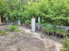 listing thumbnail image 28