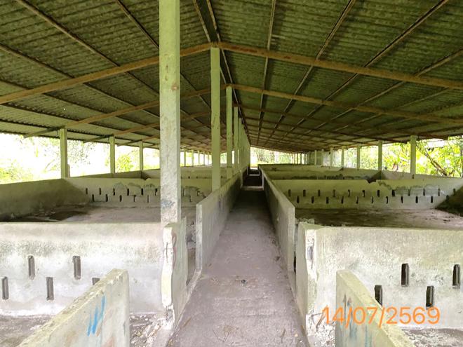 picture LAND 2165 Sq.w. Kapong Phangnga for 3.2M - 2/25