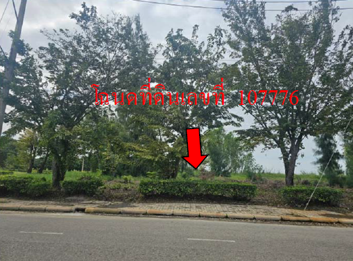 picture LAND 313.3 Sq.w. Muang Nakhon Pathom Nakhon Pathom for 3.1M - 9/12