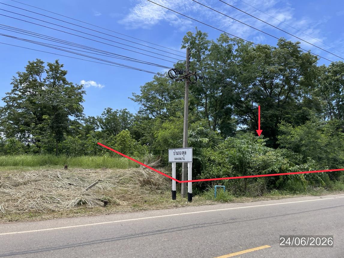 picture LAND 14890 Sq.w. Nong Phai Phetchabun for 9.8M - 18/31
