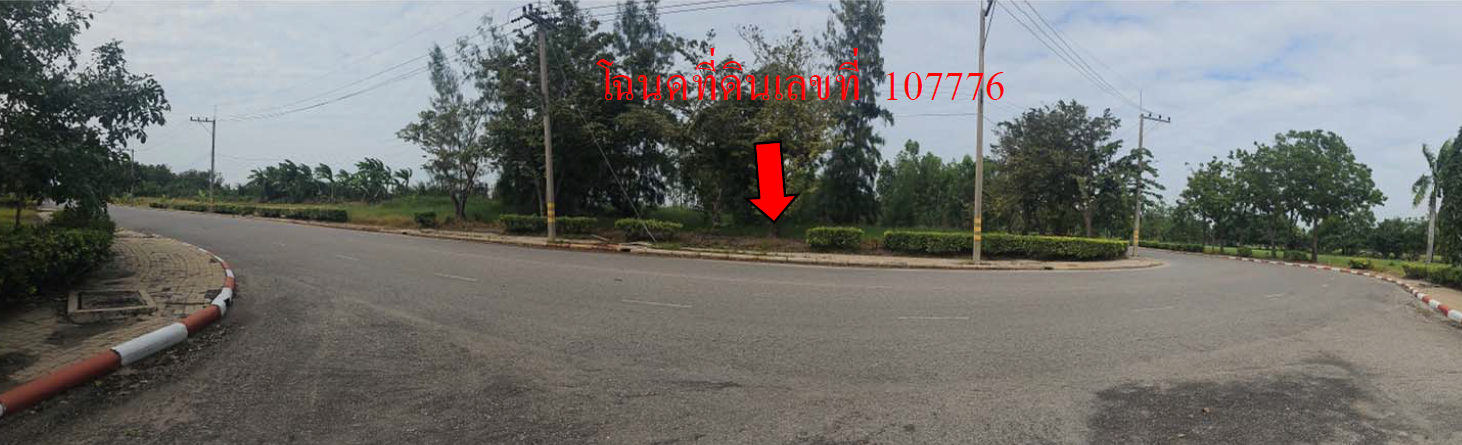 picture LAND 313.3 Sq.w. Muang Nakhon Pathom Nakhon Pathom for 3.1M - 10/12