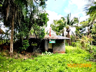 Houses for sale Krabi : HOME 176 Sq.w. Khao Phanom Krabi for 3.1M