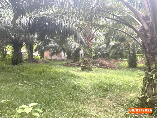 picture HOME 1074 Sq.w. Chawang Nakhon Sri Thammarat for 14.5M - 6/25