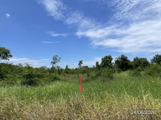 picture LAND 14890 Sq.w. Nong Phai Phetchabun for 9.8M - 6/31