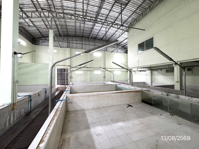 picture HOME 209 Sq.w. Bang Khae Bangkok for 11.3M - 9/45