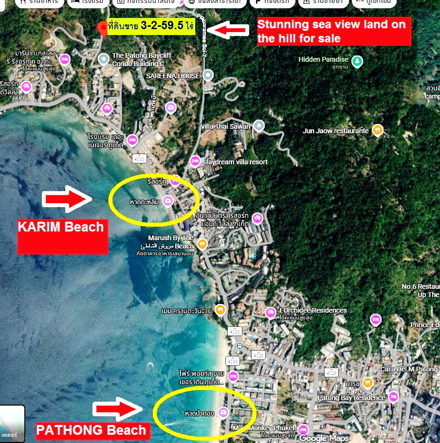 รูป ขายที่ดิน 3-2-59.5 ไร่ RAI ซีวิว SEAVIEW ป่าตอง ภูเก็ต แปลง GOLDEN  LAND เนินเขาทำเลดีเยี่ยม เซอวิส คอนโดขึ้นมากรอบๆอาทิ The Baycliff Residence ใกล้ๆ - รูปที่ 13/15