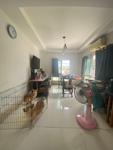 5-bed house for sale, 228 sqm, 59 sq wah, Phasi Charoen