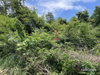 listing thumbnail image 26