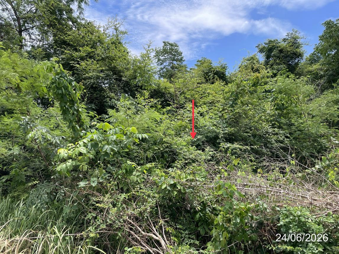 picture LAND 14890 Sq.w. Nong Phai Phetchabun for 9.8M - 27/31