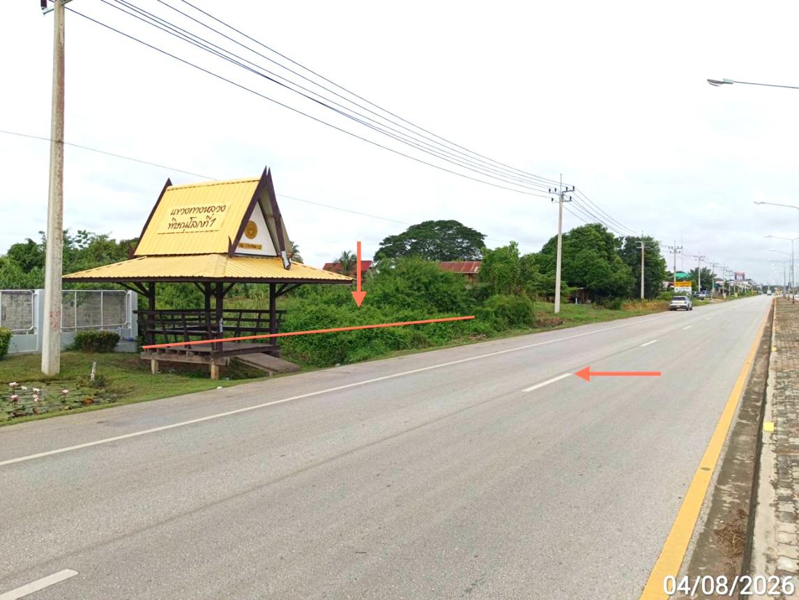 picture LAND 907 Sq.w. Bang Krathum Phitsanulok for 4.5M - 17/21