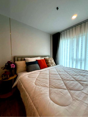 Condos for rent : Condo for Rent – Regent Home Bangna
