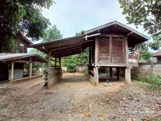 picture HOME 182.2 Sq.w. Li Lamphun for 349,000 - 2/35