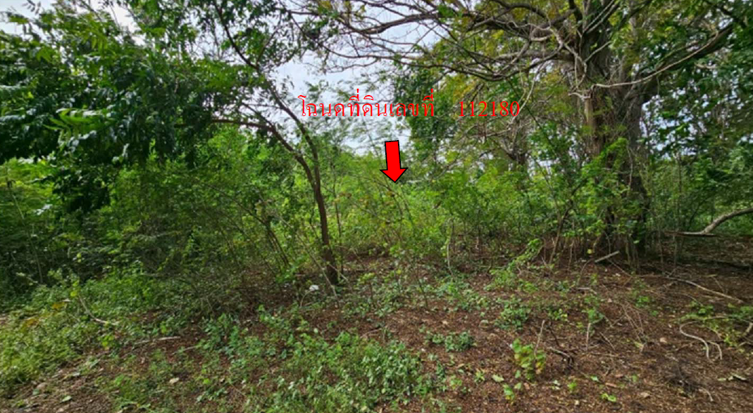 picture LAND 405.9 Sq.w. Muang Nakhon Pathom Nakhon Pathom for 3M - 9/11