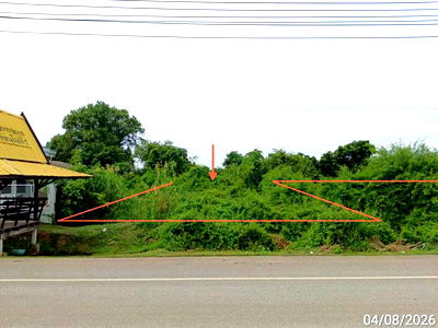 ที่ดิน บางกระทุ่ม พิษณุโลก : ที่ดินว่างเปล่า 907 ตร.วา บางกระทุ่ม พิษณุโลก 4.5M