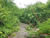 listing thumbnail image 18