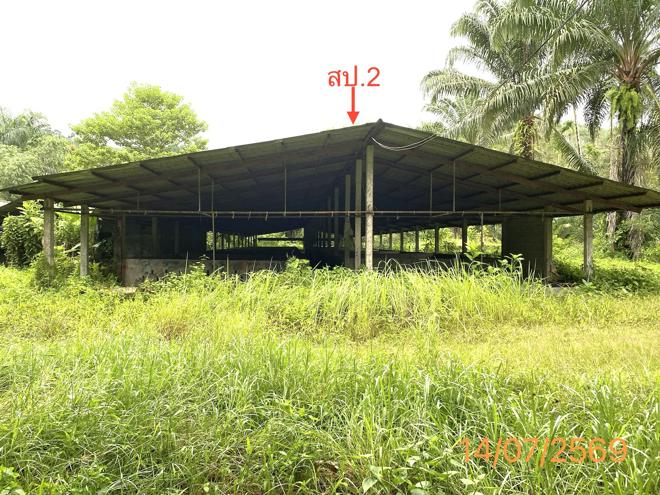 picture LAND 2165 Sq.w. Kapong Phangnga for 3.2M - 1/25
