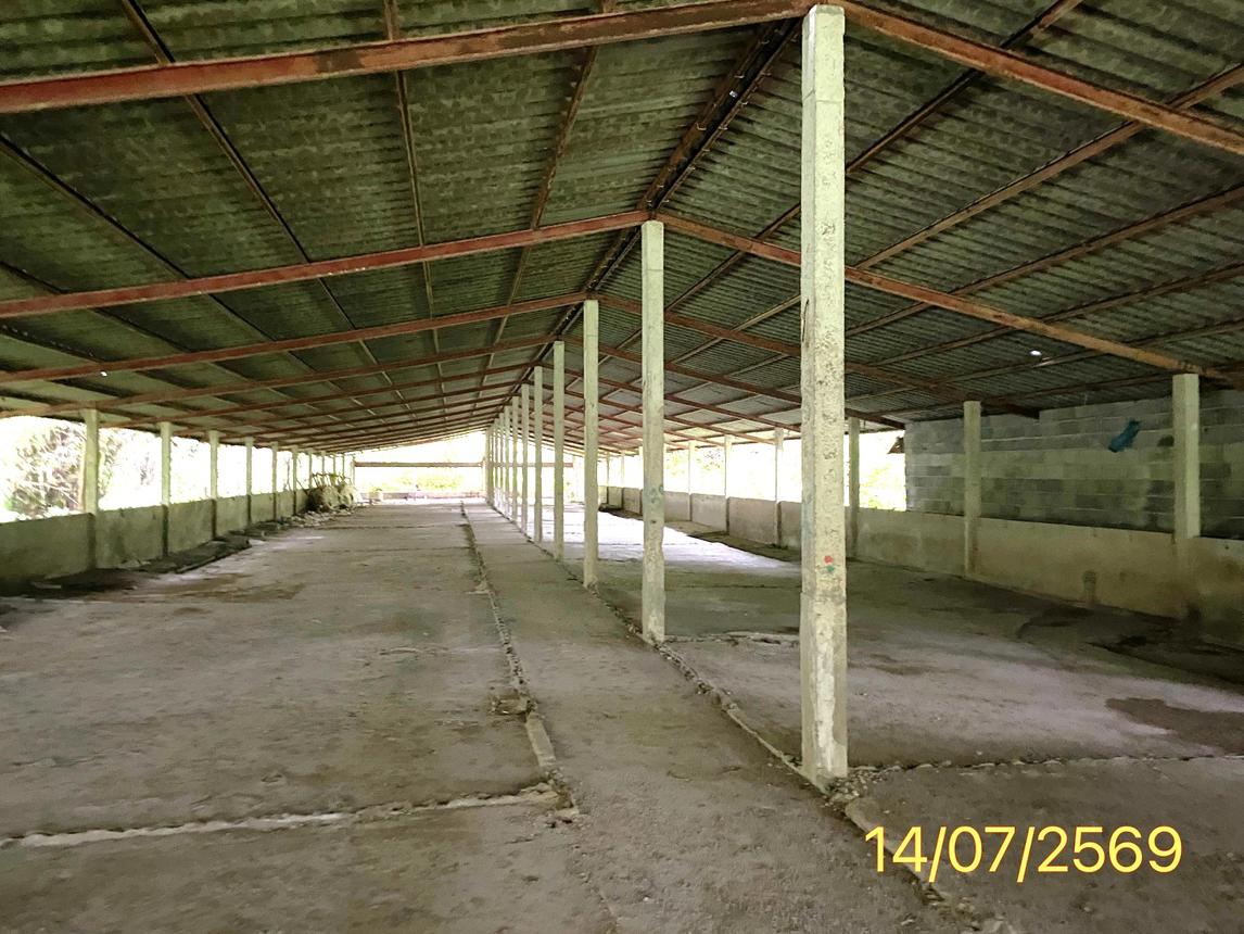 picture LAND 2165 Sq.w. Kapong Phangnga for 3.2M - 16/25