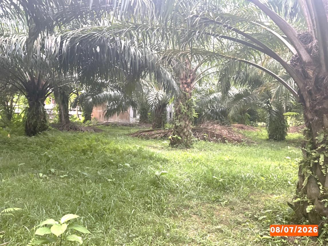 picture HOME 1074 Sq.w. Chawang Nakhon Sri Thammarat for 14.5M - 16/25