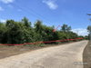 listing thumbnail image 21