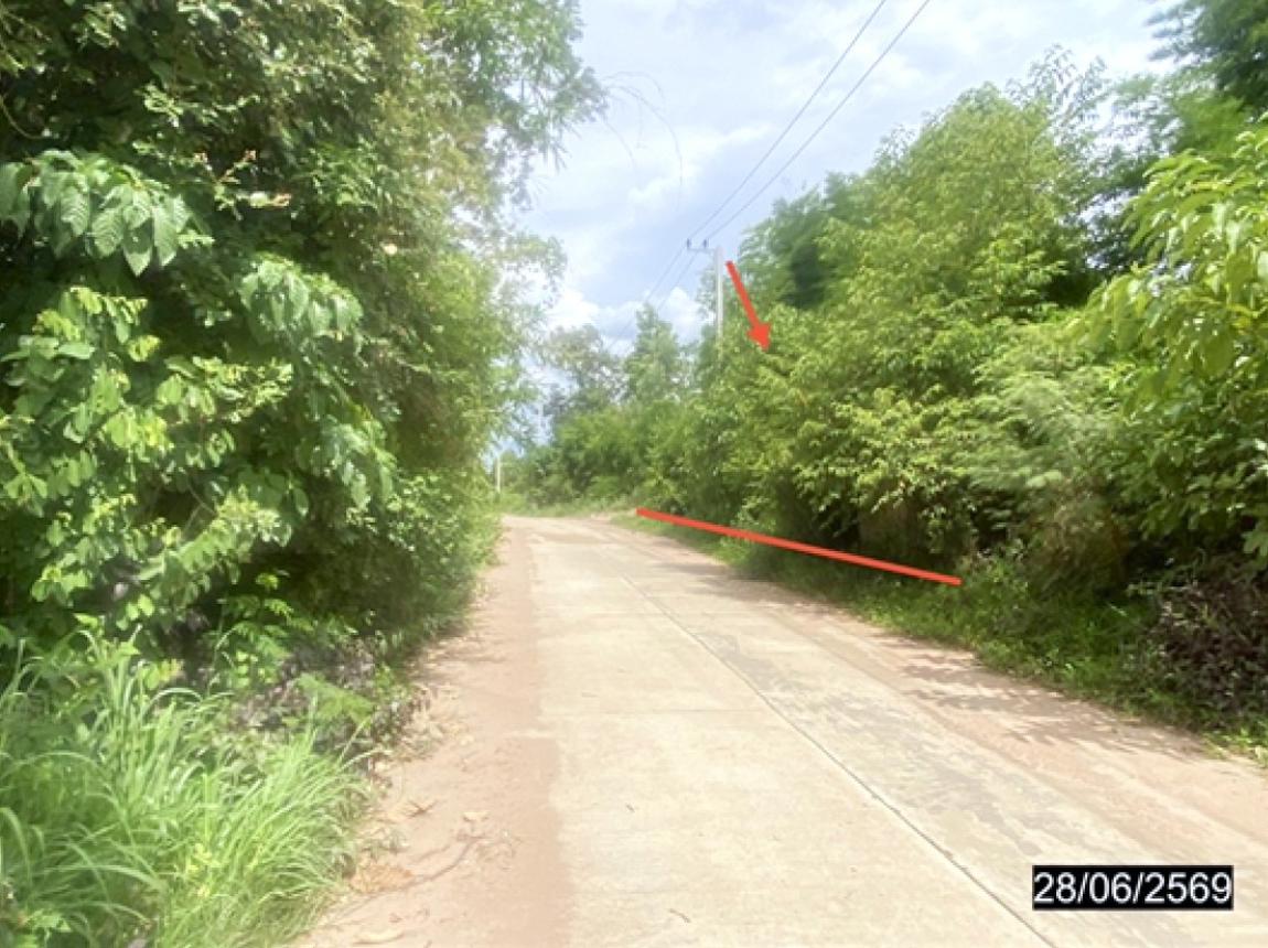 รูป ที่ดินว่างเปล่า 404 ตร.วา วังสามหมอ อุดรธานี 404,000 - รูปที่ 11/19