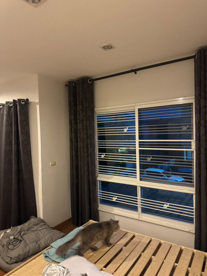 picture Townhome for Rent – The Trust Rangsit-Klong 1 - 9/14