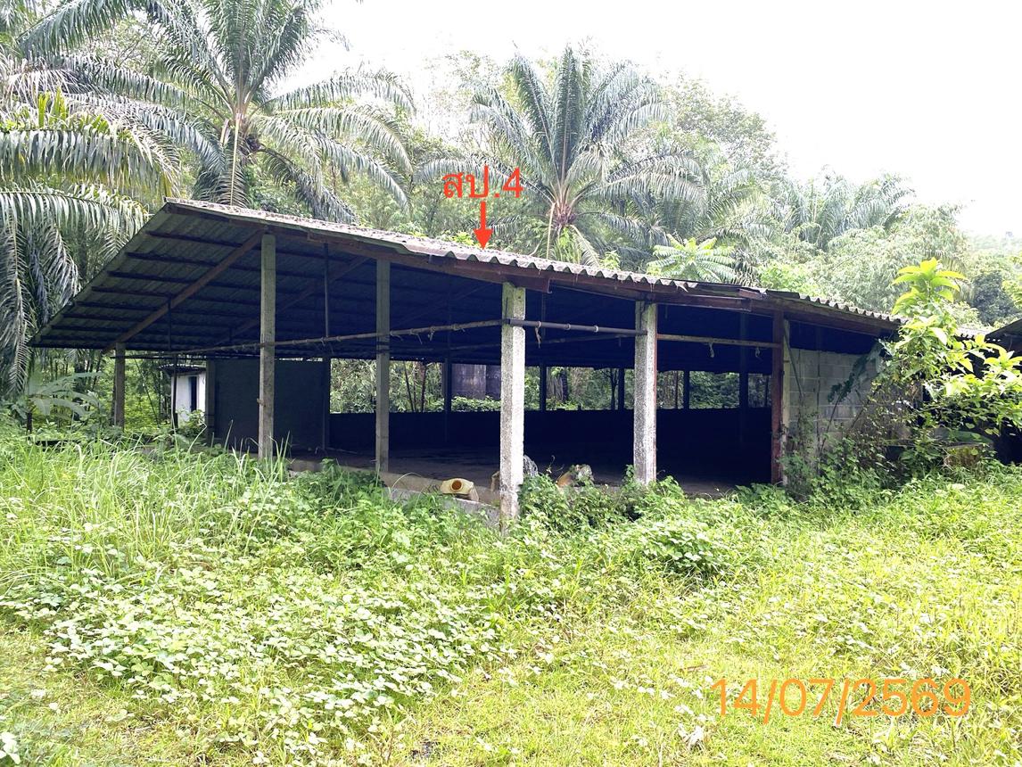 picture LAND 2165 Sq.w. Kapong Phangnga for 3.2M - 14/25