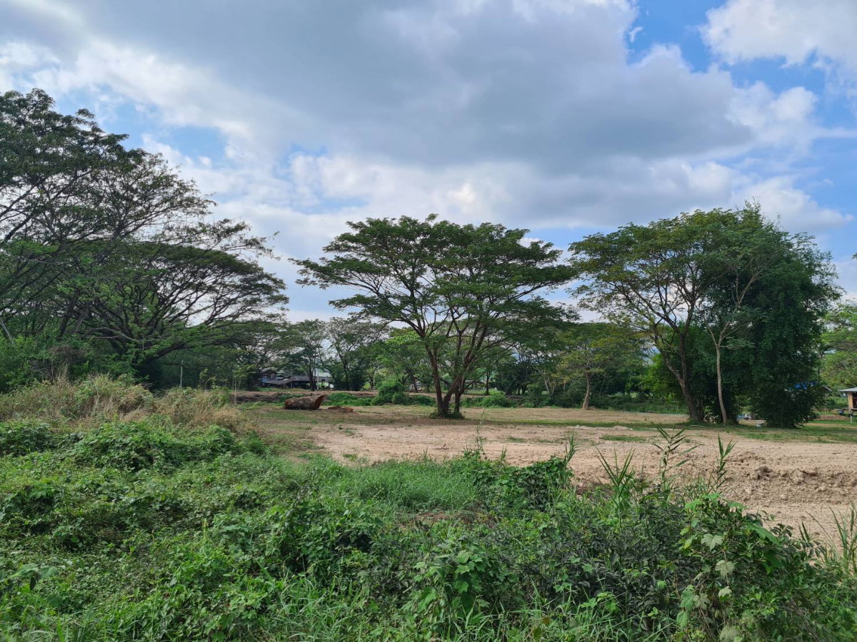 picture Land by the canal in nakhon Nayok - 11/14