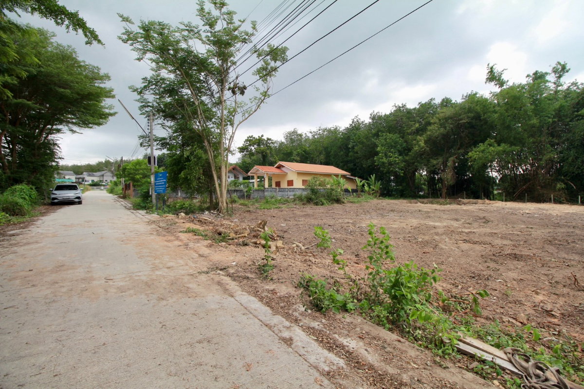 รูป ลดแรง!ที่ดินใกล้แยกมาบข่า 700 เมตร 355 ตร.วา ขายเพียง 6,000 บาท/ตร.วา มาบข่า ระยอง - รูปที่ 4/14
