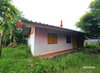 listing thumbnail image 17