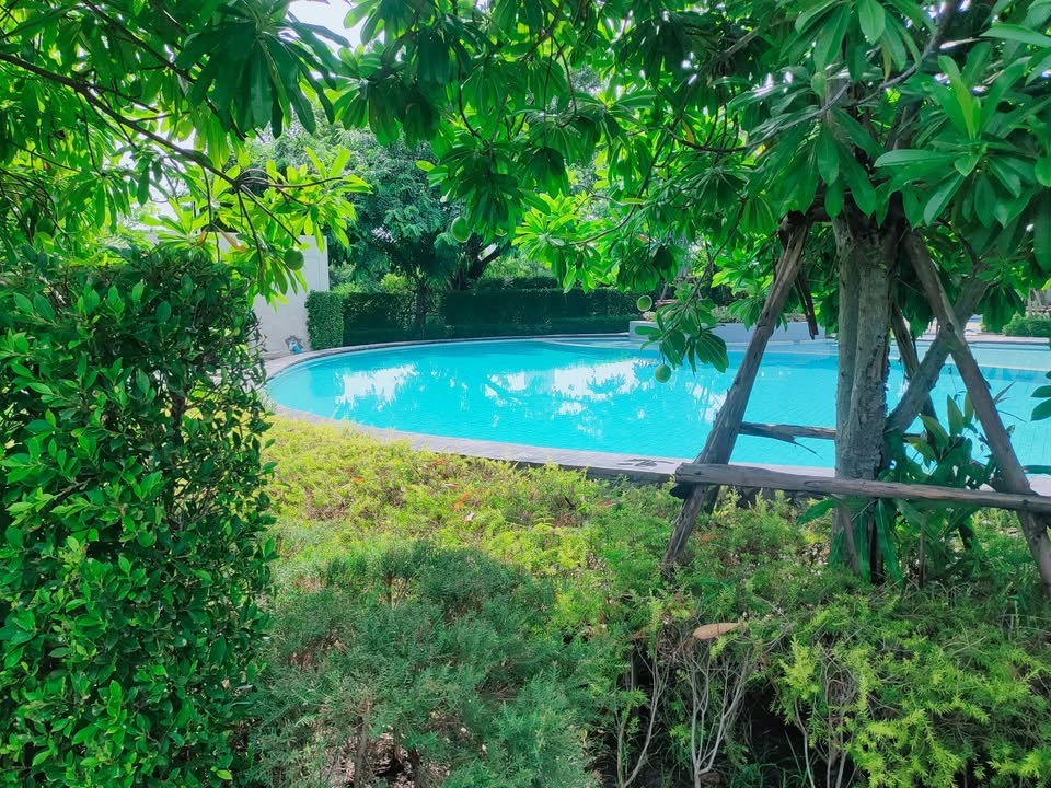 รูป R3164 ให้เช่าทาวน์โฮม Modi Villa บางนา ด้านหลัง ม.เอแบค (ว่างค่ะ) - รูปที่ 15/16