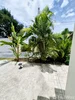 listing thumbnail image 21