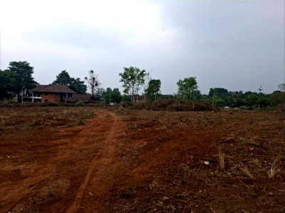 Land for sale Pak Chong Nakhon Ratchasima : Beautiful 4-rai plot of land in Phupiman Village